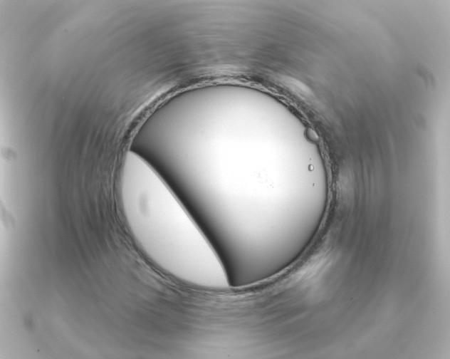 X0000091331209200708100955