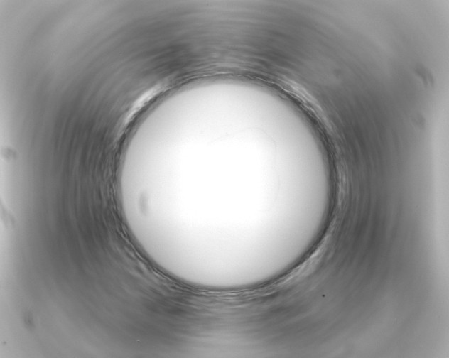 X0000091331210200708100955