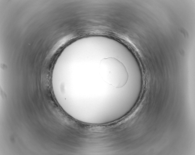 X0000091331211200708100955