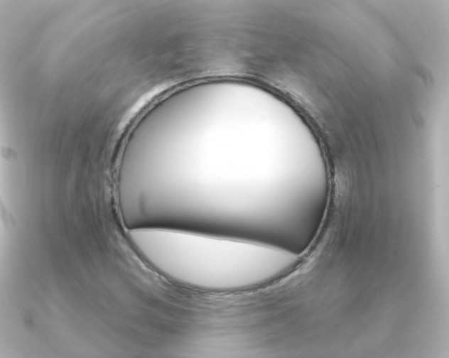 X0000091331212200708100955