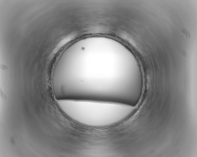 X0000091331213200708100956
