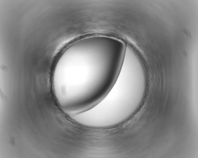 X0000091331214200708100956