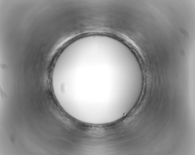 X0000091331215200708100956