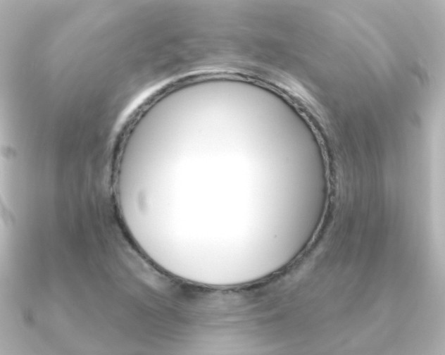 X0000091331216200708100956