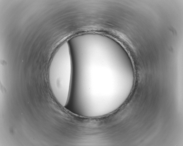 X0000091331217200708100956