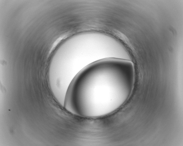 X0000091331218200708100956