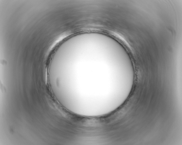 X0000091331219200708100956