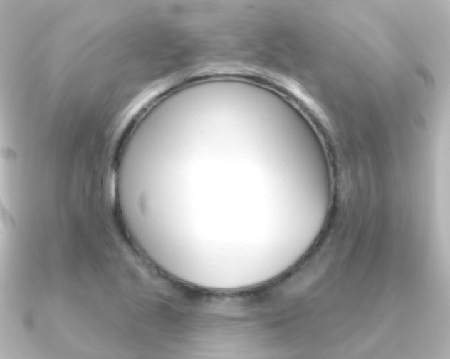 X0000091331221200708100956