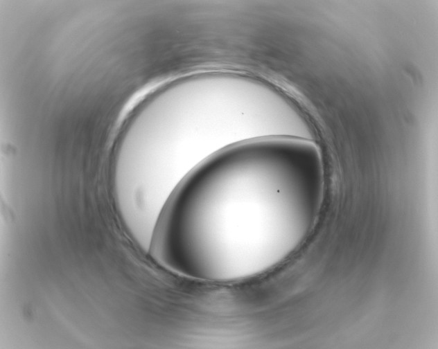 X0000091331222200708100956