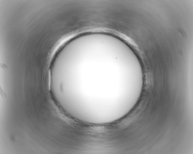 X0000091331223200708100956