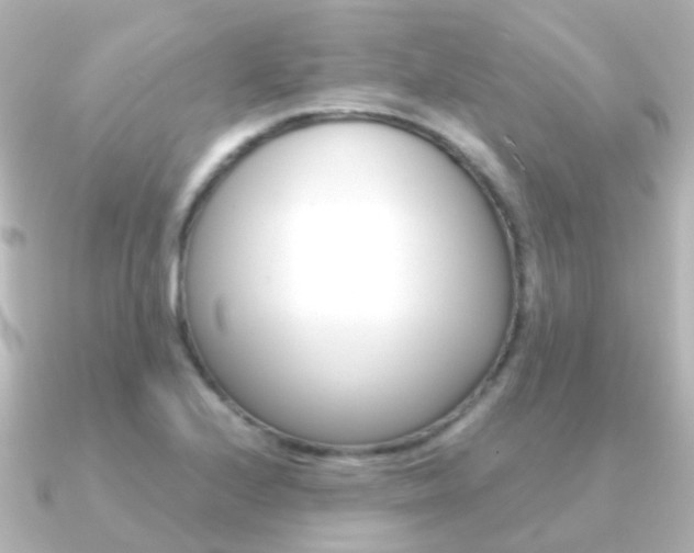 X0000091331224200708100956