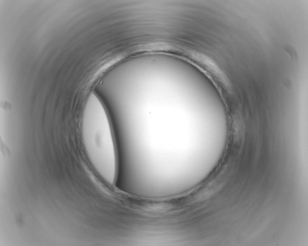 X0000091331225200708100956