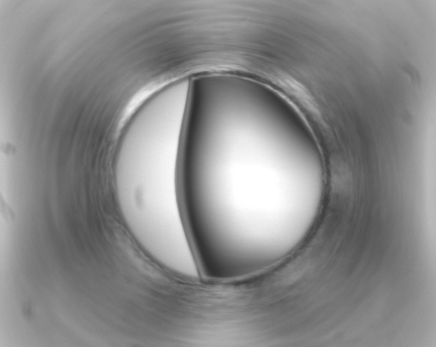 X0000091331226200708100956