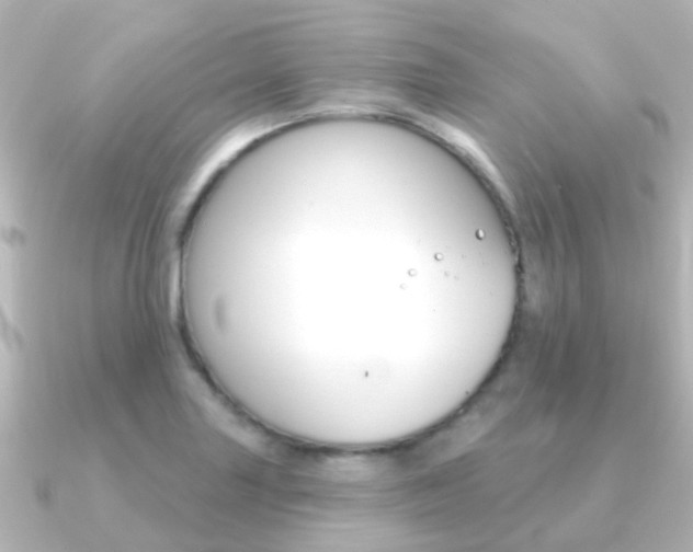 X0000091331227200708100956