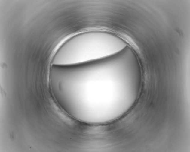X0000091331228200708100956