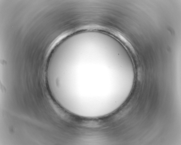 X0000091331229200708100956