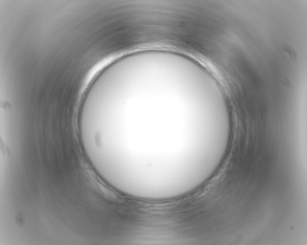 X0000091331230200708100956