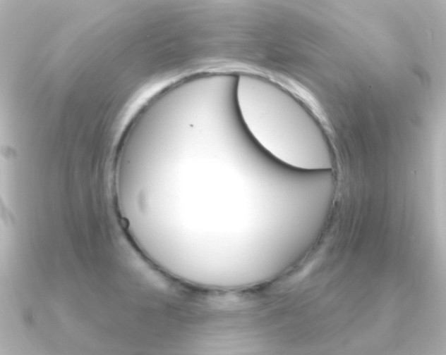 X0000091331231200708100956