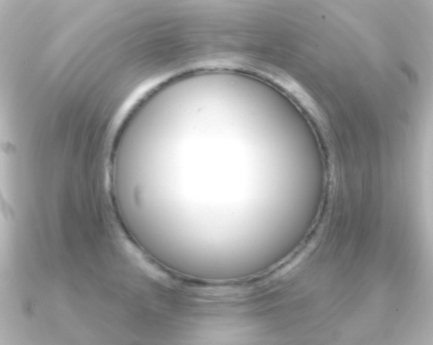 X0000091331232200708100956