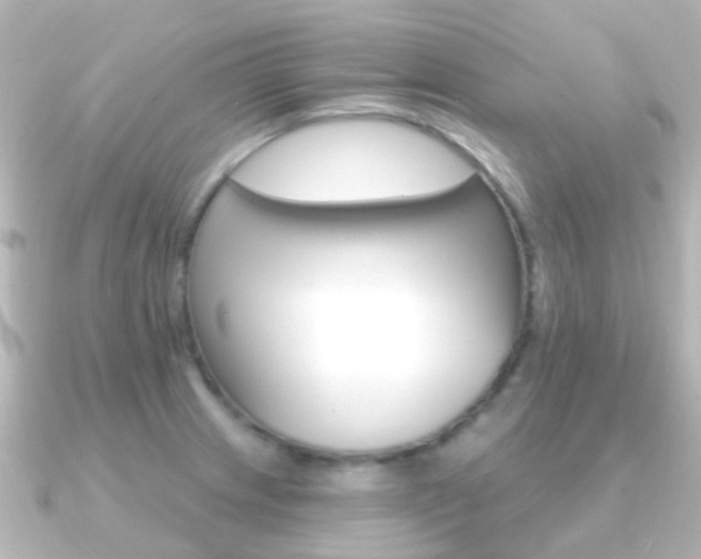 X0000091331233200708100956