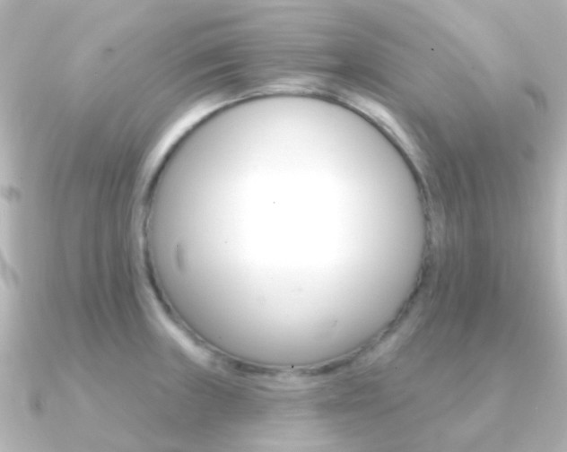 X0000091331235200708100956