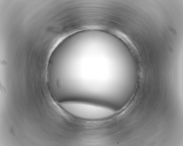 X0000091331236200708100956