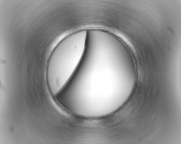 X0000091331237200708100956