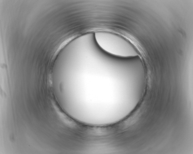 X0000091331241200708100956
