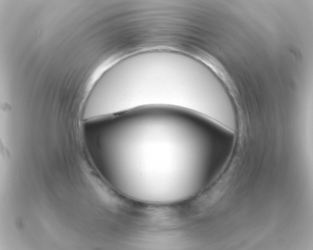 X0000091331242200708100956