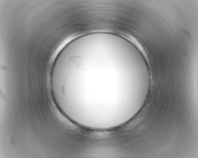 X0000091331243200708100956