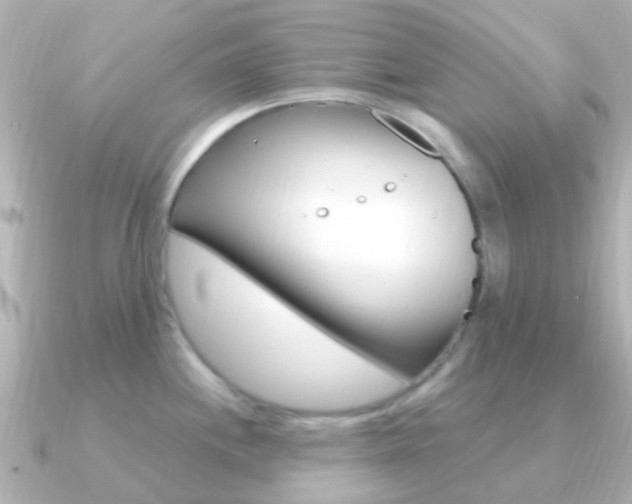 X0000091331244200708100956