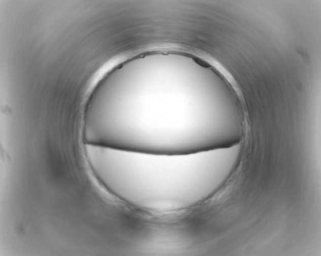 X0000091331245200708100956