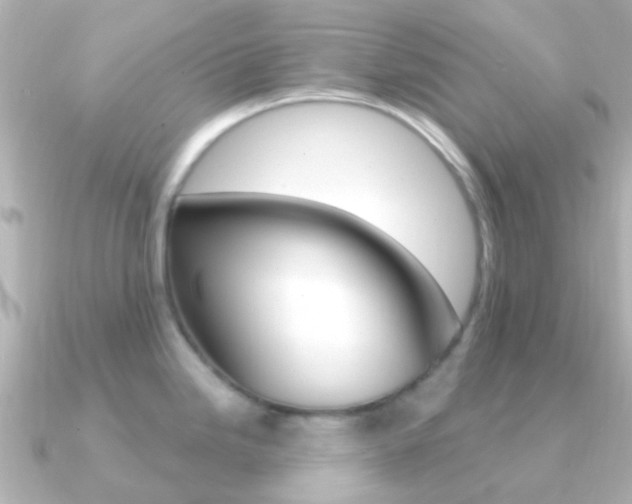 X0000091331246200708100956