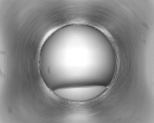 X0000091331248200708100956