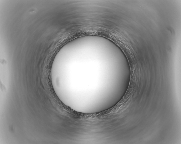 X0000091331249200708100955