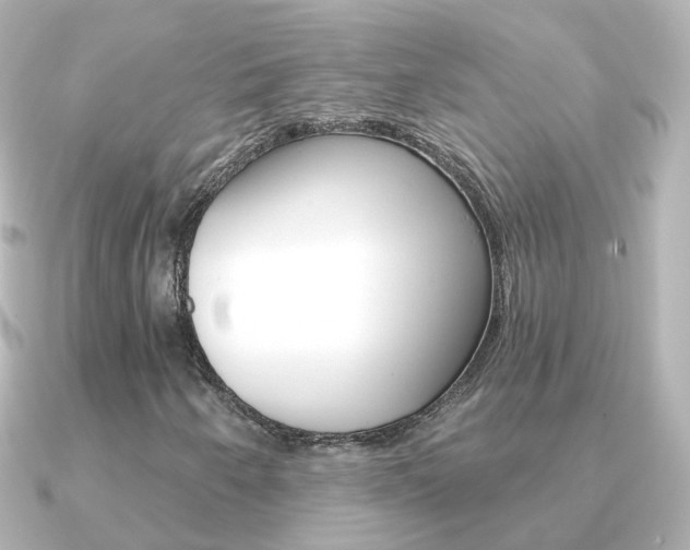 X0000091331250200708100955