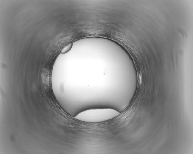X0000091331251200708100955