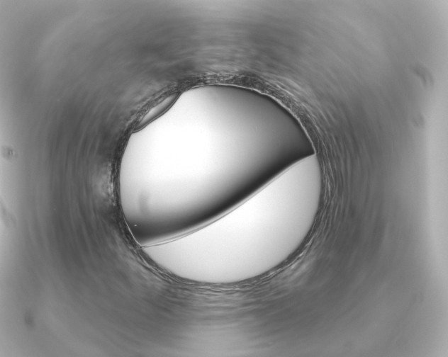 X0000091331252200708100955