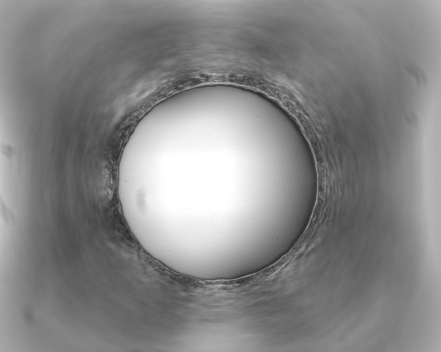 X0000091331253200708100955