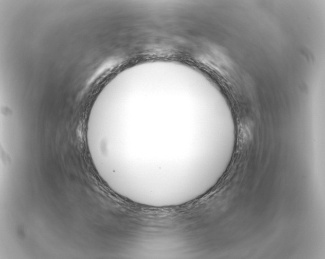 X0000091331254200708100955