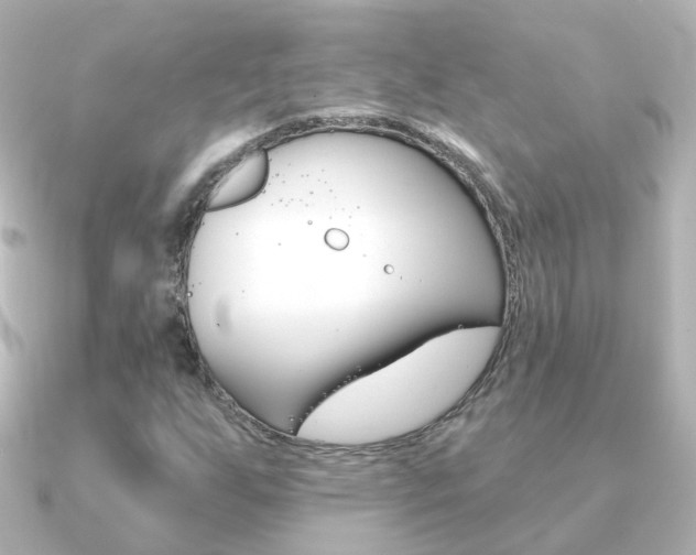 X0000091331255200708100955