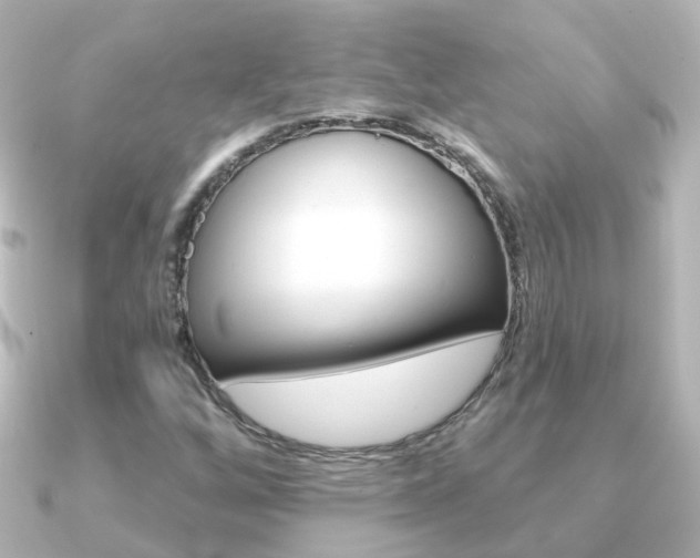 X0000091331256200708100955