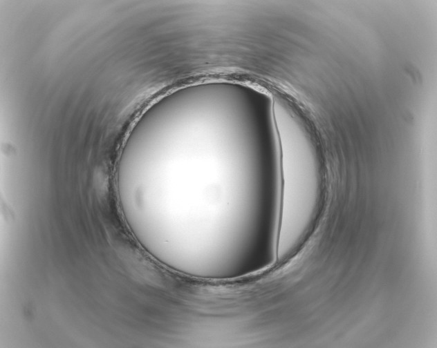 X0000091331257200708100955