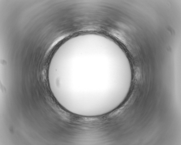 X0000091331258200708100955