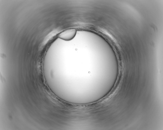X0000091331259200708100955