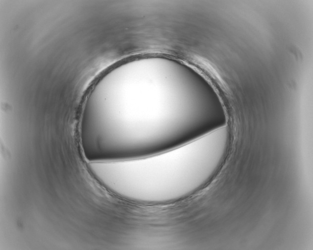 X0000091331260200708100955