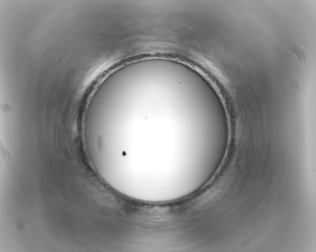 X0000091331261200708100955