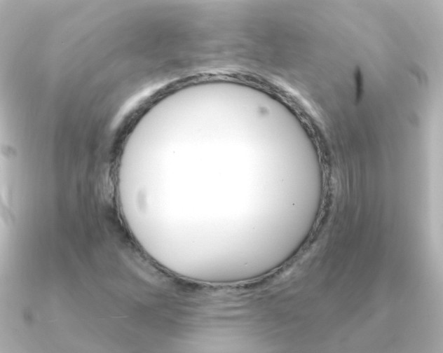 X0000091331262200708100955
