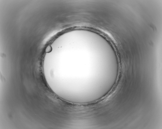 X0000091331263200708100955