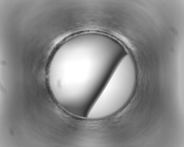 X0000091331264200708100955